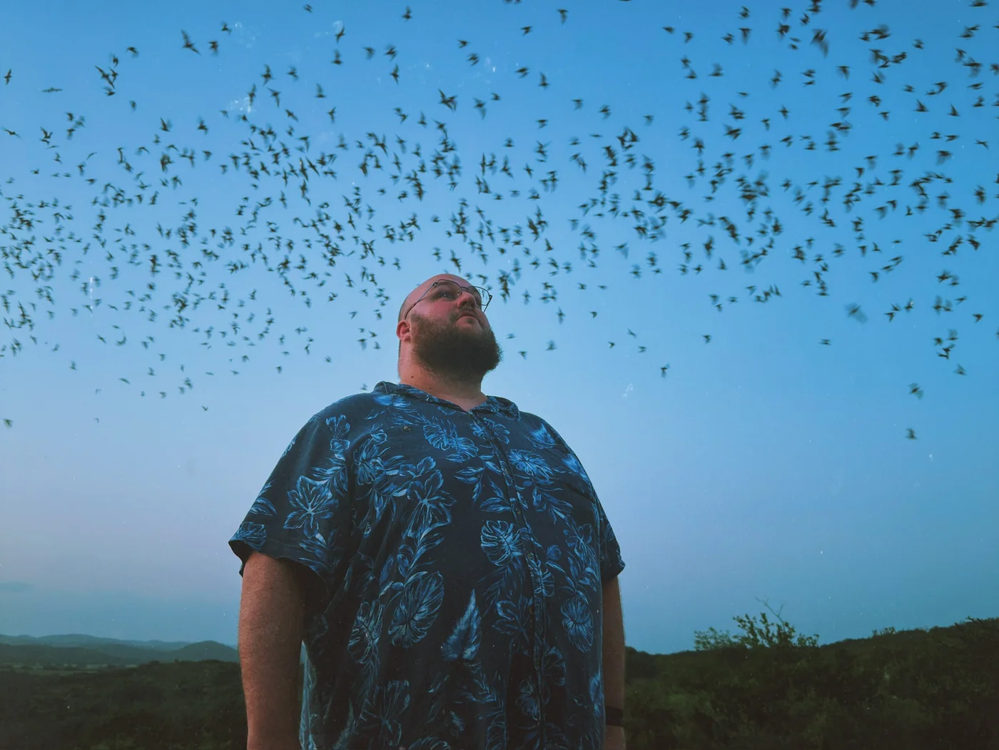 Tom looking up at a sky filled with bats at dusk.