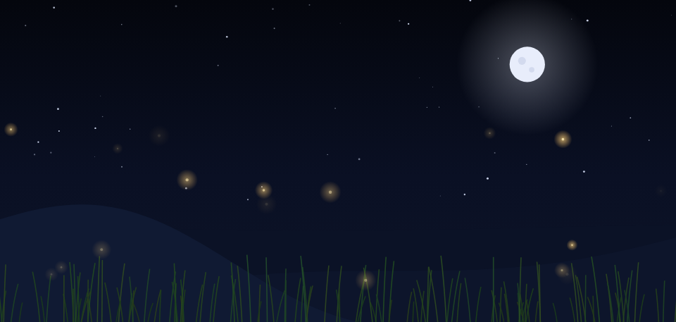 The quiet Night Garden generative piece.